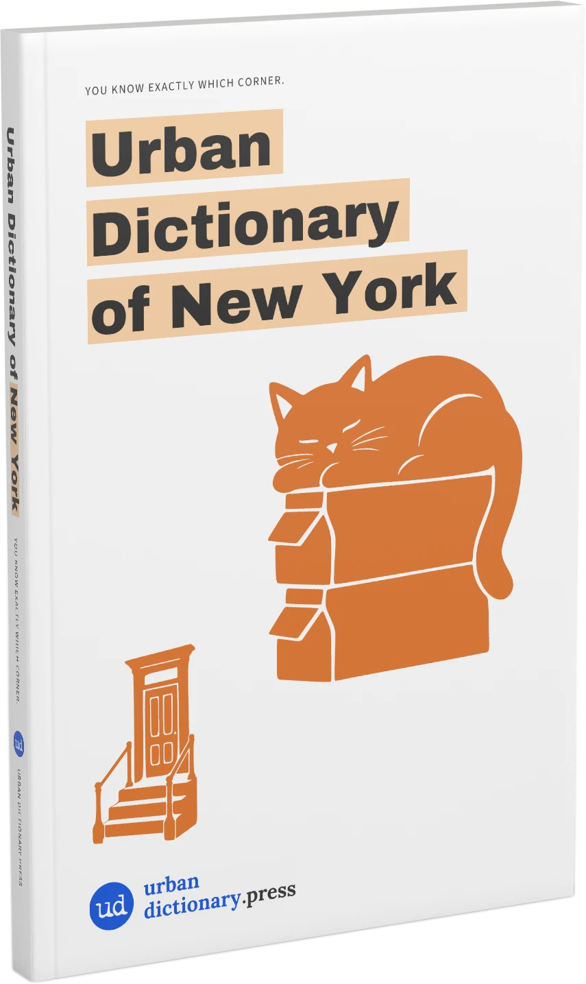 Three-dimensional cover of Urban Dictionary of New York