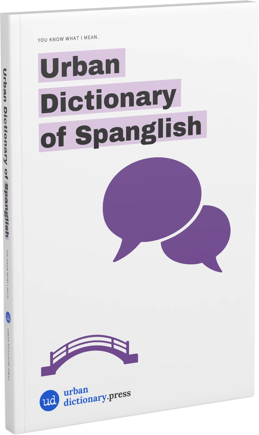 Three-dimensional cover of Urban Dictionary of Spanglish