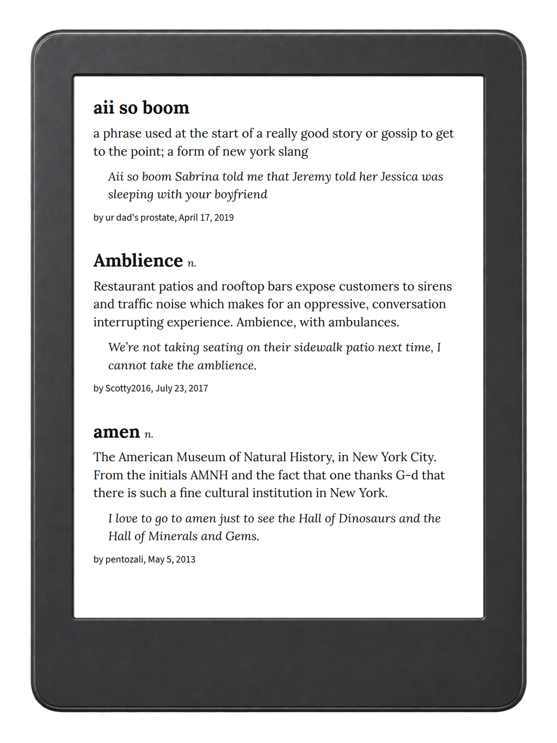Selected passage from Urban Dictionary of New York on an illustrative e-reader (device not included)