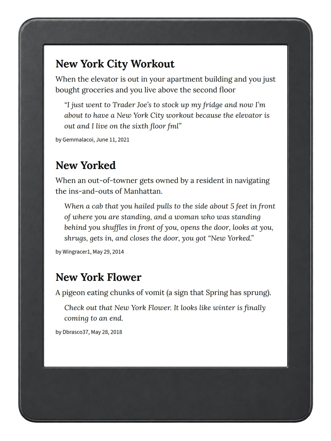 Selected passage from Urban Dictionary of New York on an illustrative e-reader (device not included)