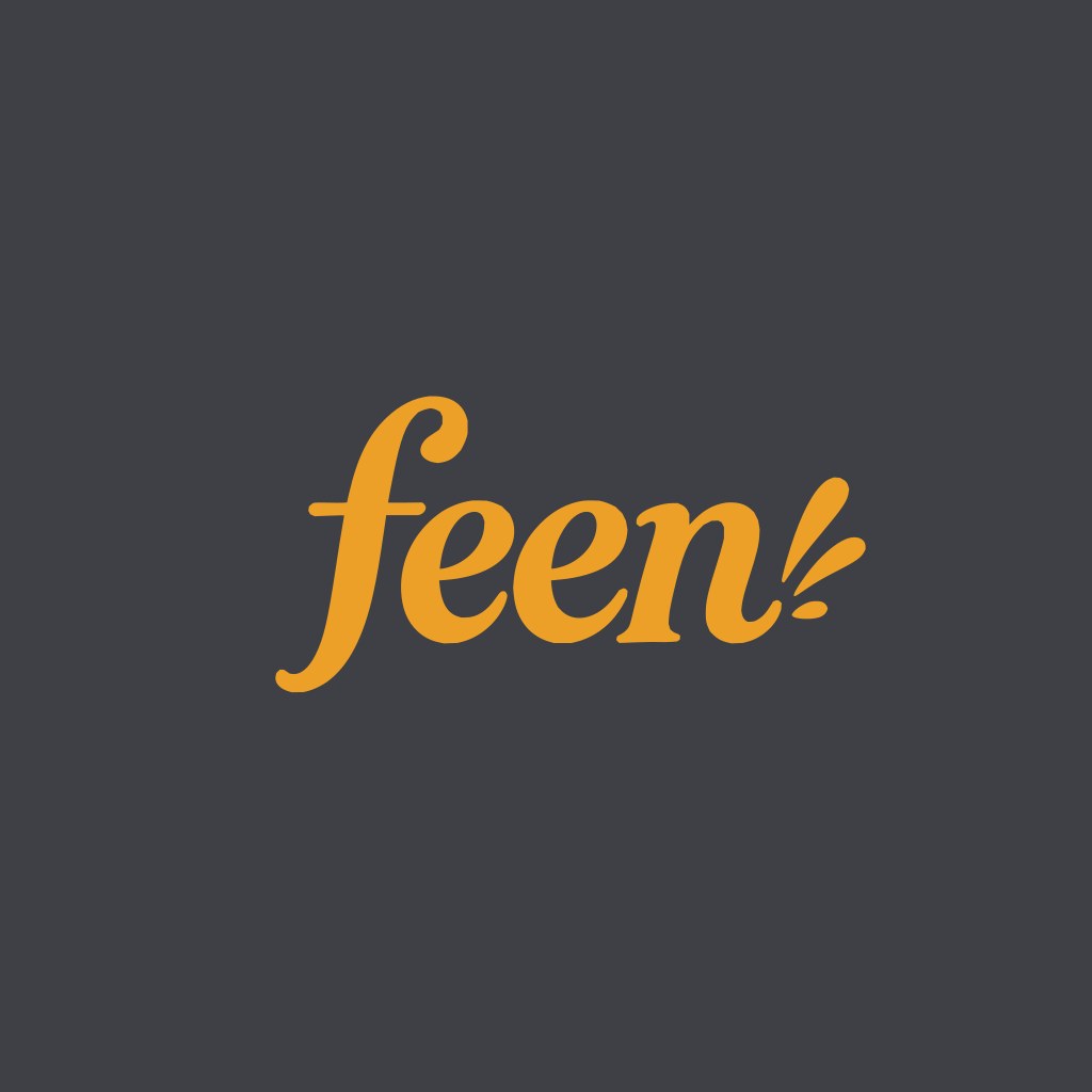 feen hoodie, the artwork