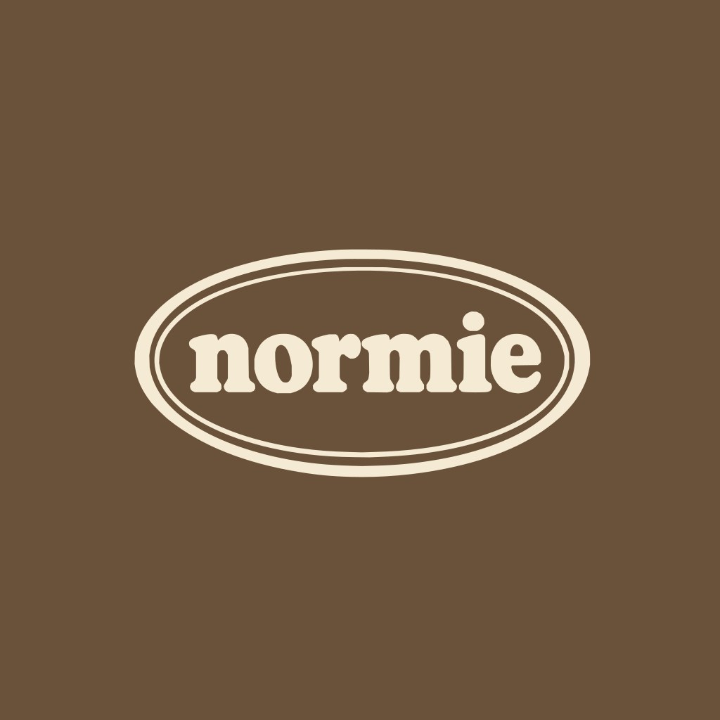 normie tshirt, the artwork