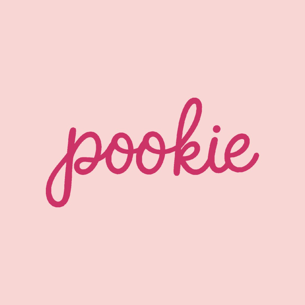 pookie beanie, the artwork